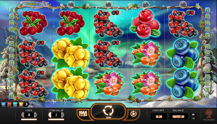 Winter Berries Slot