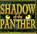 shadow of the panther wild